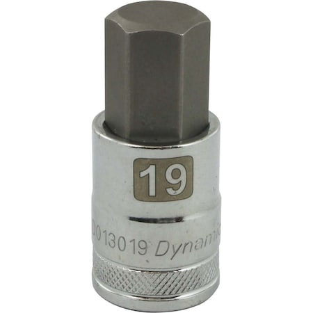 DYNAMIC D013019